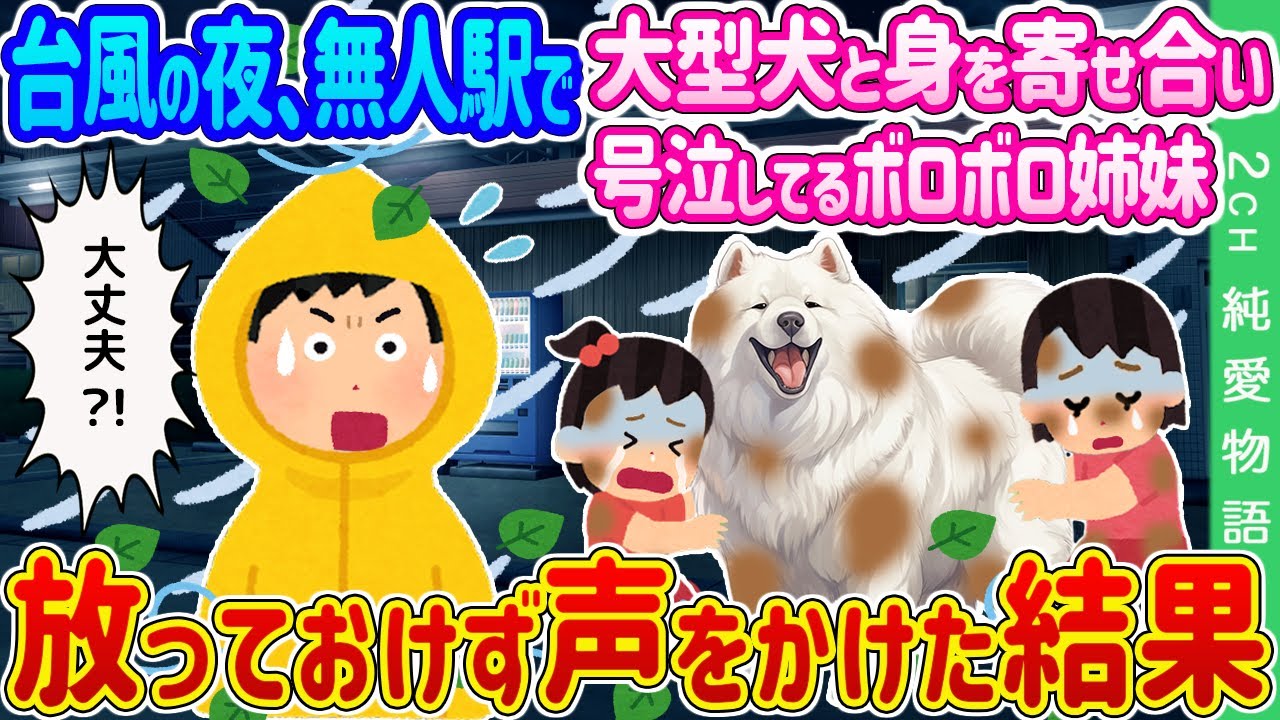 【2ch馴れ初め】台風の夜、無人駅で大型犬と身を寄せ合い号泣してるボロボロ姉妹→放っておけず声をかけた結果…【ゆっくり】