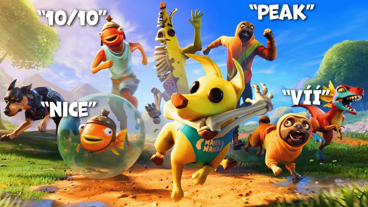 PETI VE FORTNITE *NYNÍ*