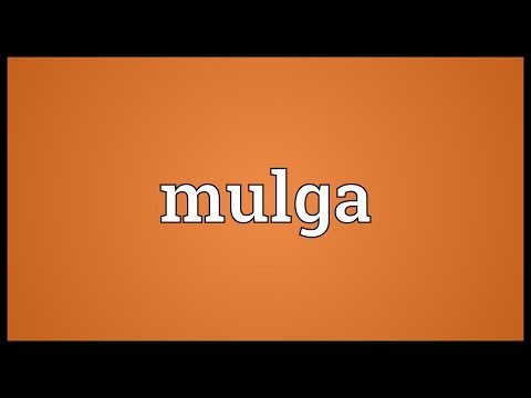 Mulga Meaning