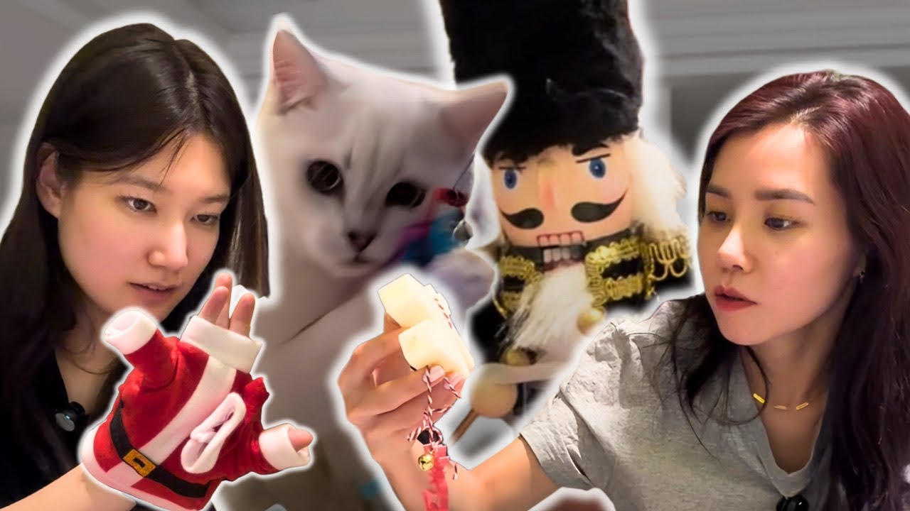 Сувдаанаа Тасо Хоёр Уулзав ккк🐱