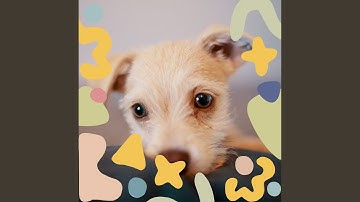 Pulsating Ambiance for Relaxing Dog