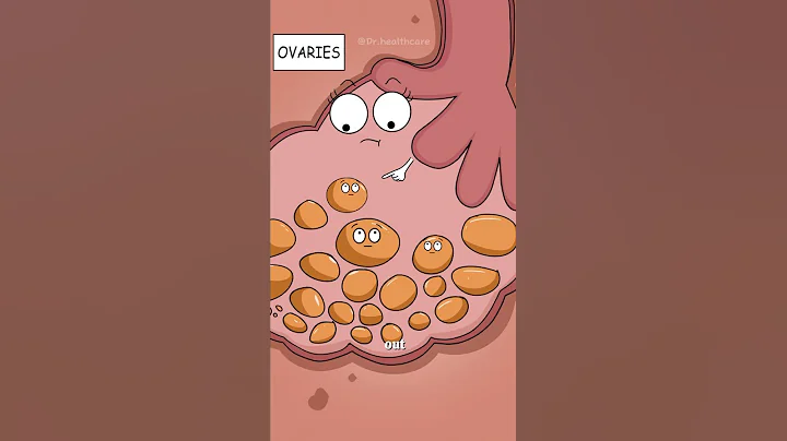 Why Exactly You Miss Your Period?