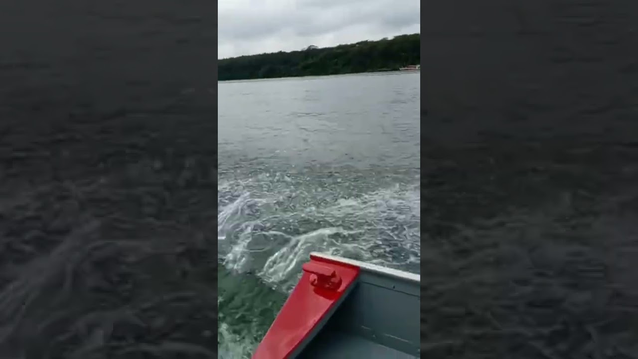 motor Yamaha 30hp, navega  muito 50kmh