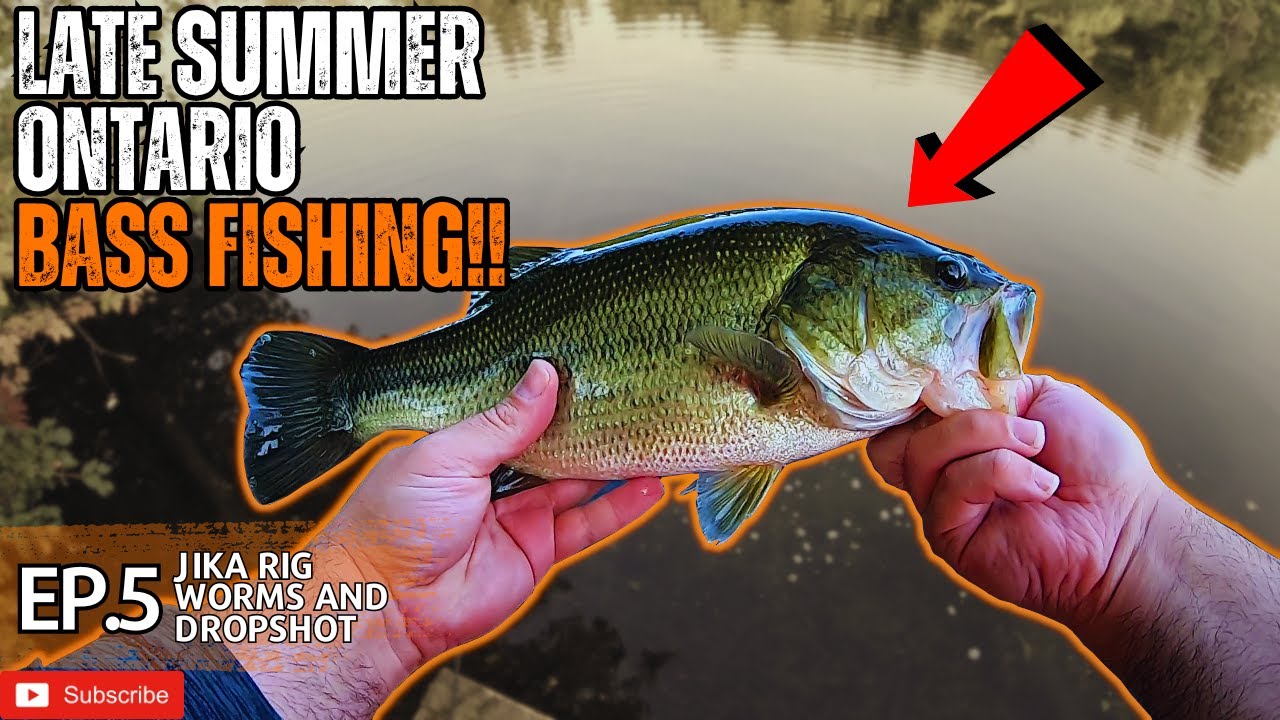 Late Summer LARGEMOUTH BASS FISHING with Different Rigs (Shore Fishing in Urban Ontario)