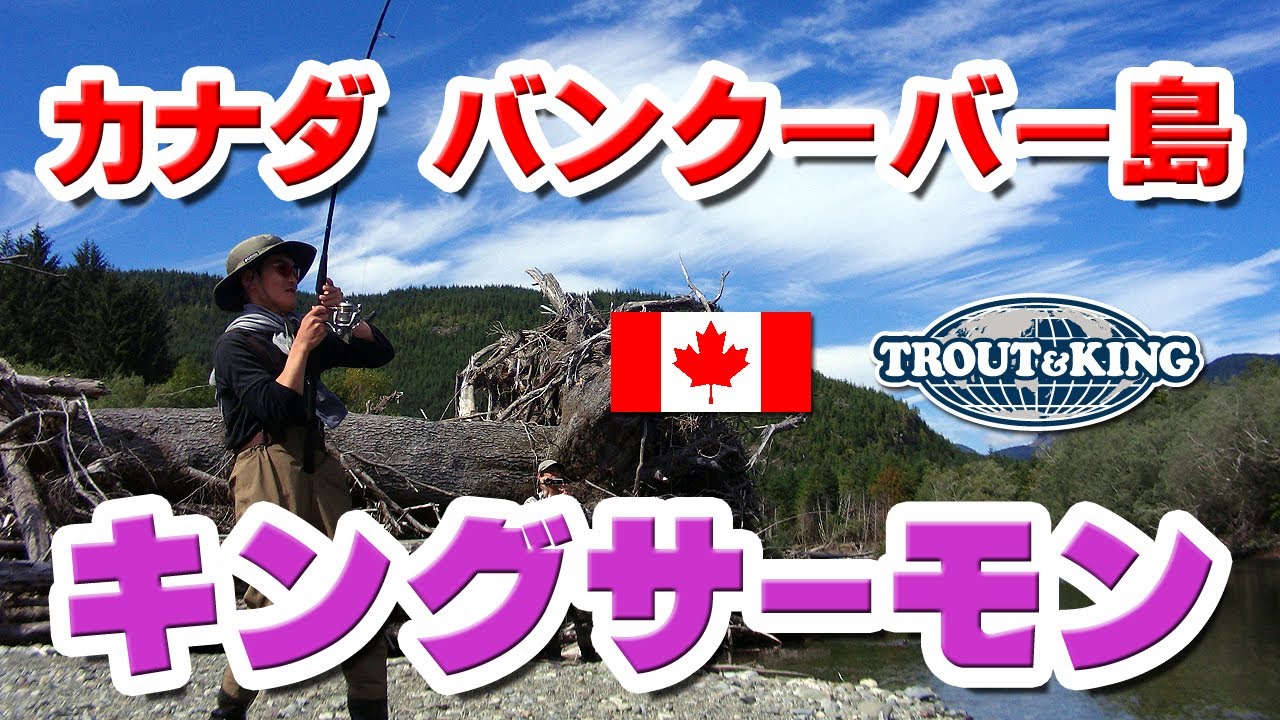 カナダ キングサーモン釣行報告２００９年 バンクーバー島
