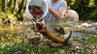 I Found Creatures I've NEVER Seen in My Wild Mud Ecosystem!