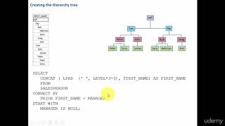 Creating the Hierarchy Tree