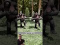 Why Do Gorillas Actually Beat Their Chests? 🦍