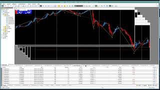 2024-022 Livetrading H4 Devisenmarkt