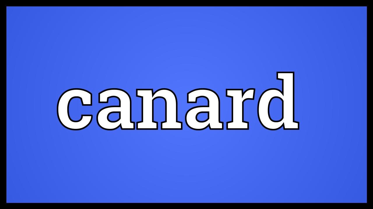 Canard Meaning YouTube