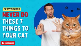 NEVER Do These 7 Things to Your Cat (Avoid Deadly Sins)