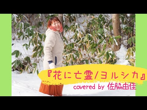 『花に亡霊/ヨルシカ』covered by 佐脇由佳