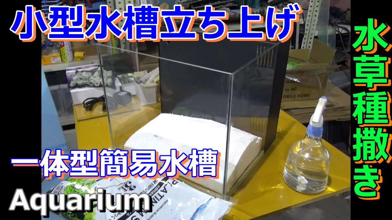 Aquarium】小型一体型水槽の立ち上げ！Launching a small integrated