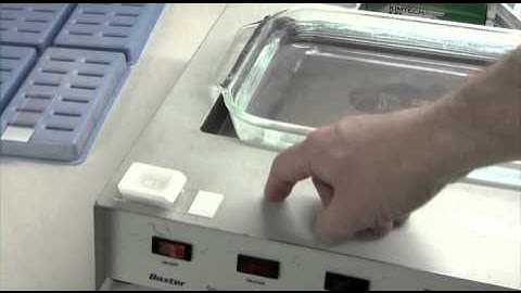 Preparing a Tissue Microarray Block for Cutting  Vol. 3