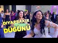 Diyarbakır Düğünü - Yasin Yildiz - Gelin’den muhteşem halay show - Hollanda