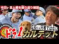 【徹底解説】ドラフト1位立石がプロHRで下柳も大絶賛‼︎阪神打撃陣の快進撃で交流戦にも期待大⁉︎