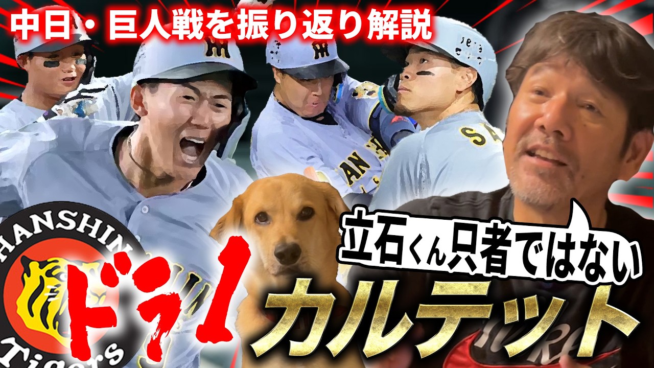 【徹底解説】ドラフト1位立石がプロHRで下柳も大絶賛‼︎阪神打撃陣の快進撃で交流戦にも期待大⁉︎