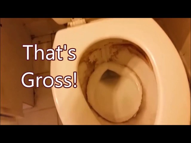 Hack for Toilet Bowl Rings - What Cleaning Products to Buy - test for  scratching - YouTube