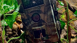 Wildlife camera mounting and security Victure HC200