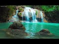 NO ADS Amazing HD Forrest Nature Waterfall & Beautiful Voice Quran Relaxing Recitation 2 Hours