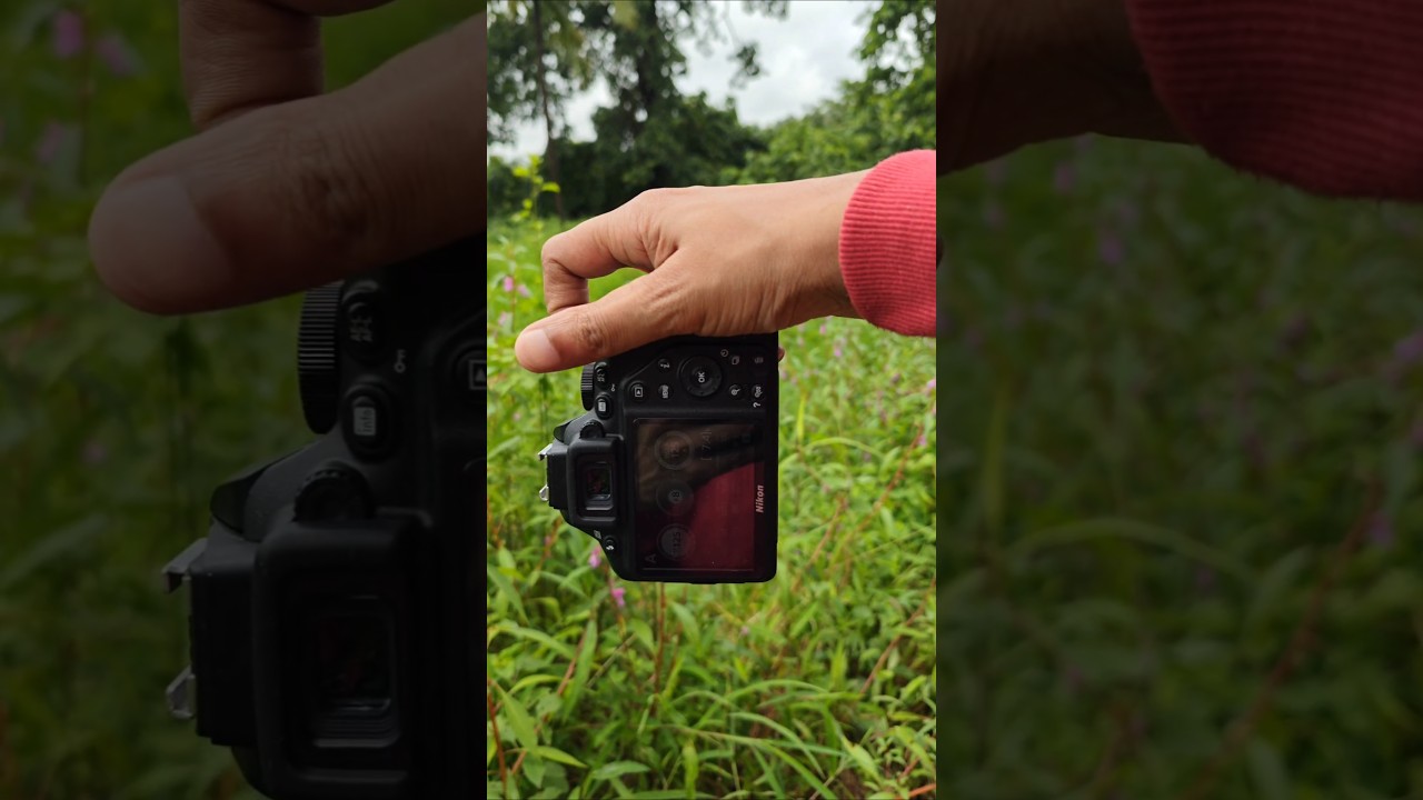 35mm lens nature photography with Dslr camera