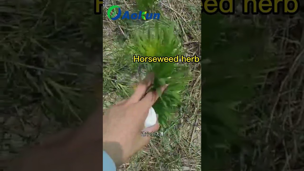 Weed Test