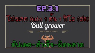 Project Weed 1 plant 1 kg (fresh). - EP.3.1 อัพเดต ความสำเร็จ และความผิดพลาด