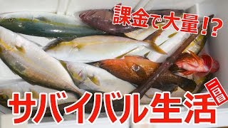 課金!?サバイバル生活二日目！船釣りで青物いっぱい編