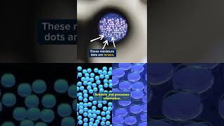 Famous Take a Look at New Microscope for Real-Time Brain Imaging Net Worth