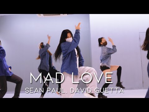 걸스힙합 (Girls Hiphop) Exy Choreo l  Sean Paul, <strong>David</strong> <strong>Guetta</strong> &amp;#39;Mad Love&amp;#39;