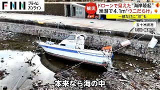 ウニやタコ大量死…ドローンで見る海岸隆起　 漁港が4.1メートル隆起し漁業にダメージ　能登半島地震