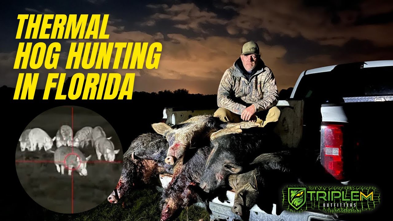 Thermal Hog Hunting Private Land Thermal Hog Hunting in Central