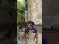 cute corgi action❤❤#😀😲😱🤤#funny#viralshort