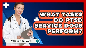 What Tasks Do PTSD Service Dogs Perform? - PetGuide360.com