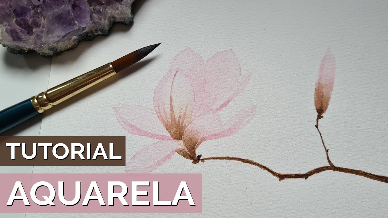 COMO PINTAR FLOR MAGNÓLIA COM AQUARELA - Tutorial passo a passo para iniciantes - #DicasdeAquarela