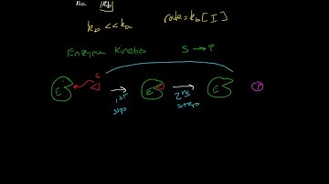 Introduction to Enzyme Kinetics