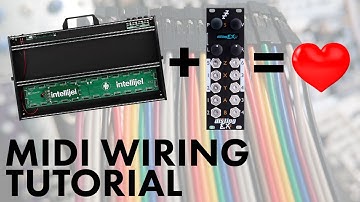 How to wire MIDI with Disting EX and Intellijel case