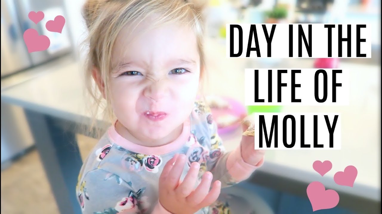 DAY IN THE LIFE OF MOLLY - 2 YEAR OLD LIFE :)