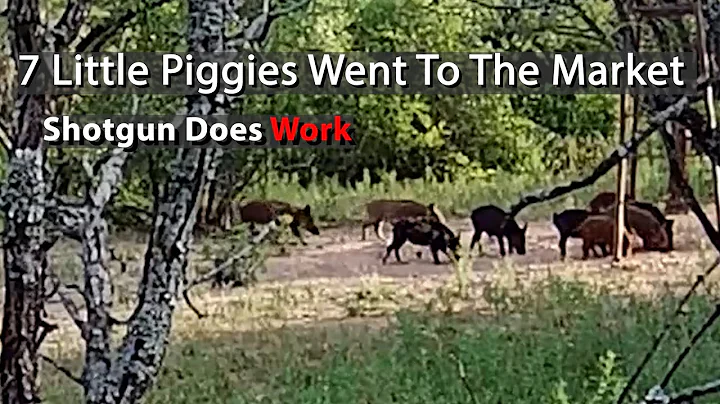 Shotgun Drops 7 Pigs With 00 Buckshot