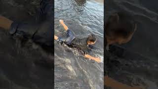 Rafa berenang gaya koddok !!! #trendingshorts