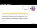 Understanding Topography and Topic Sentences