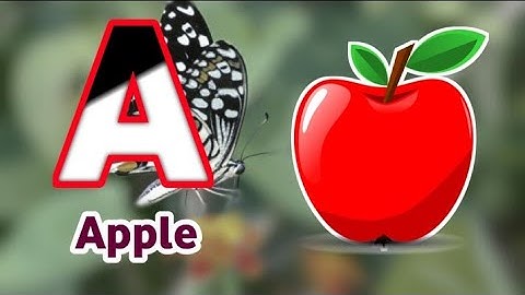 Ho Ho Ho! ABC Christmas Songs | Learn Alphabet & Phonics | 15-Minute Learning with BabySharktraining