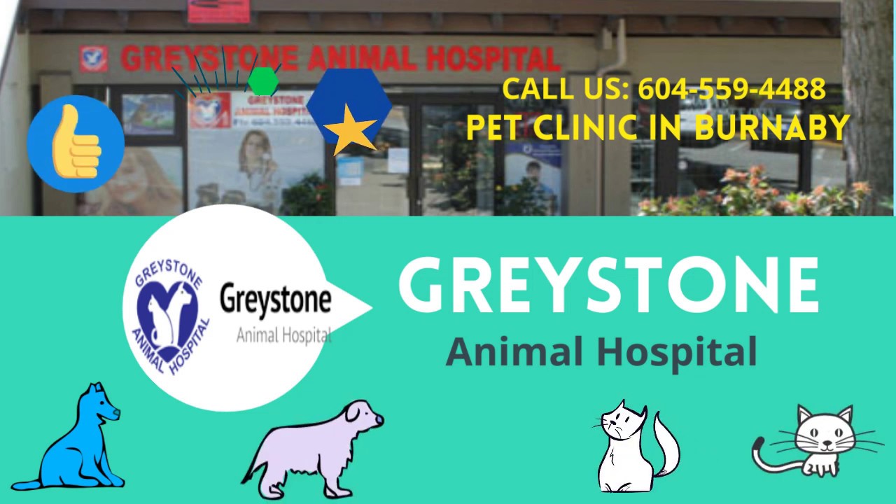 GREYSTONE ANIMAL HOSPITAL in North Burnaby