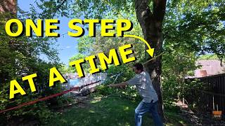 Using a Come-along on a "widowmaker", Tree limbs SHREDDED by STORM!