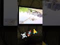 gta5 Rafael viral shots video 😱
