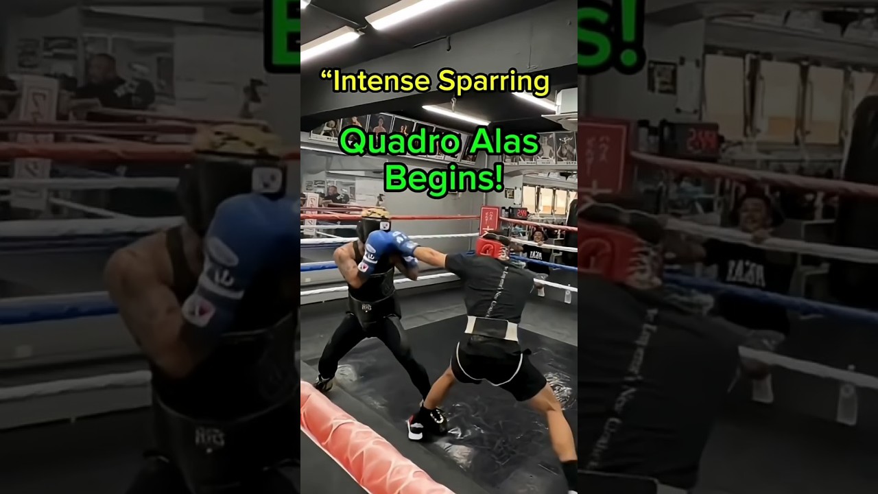 “Quadro Alas Sparring Starts! 