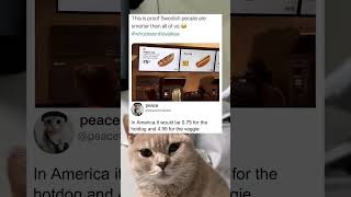 Swedish People Are Smarter Than Everyone