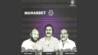 Bebek — Arif Sağ kapak görseli