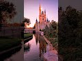 Disney Princess's Palace 🏰✨  #Princess's dreams🌹