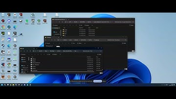 NPC Appearance Copier for multiple followers, eslify, load order, explanations